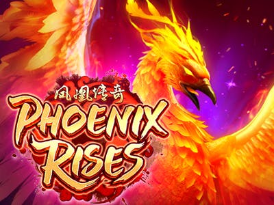 Phoenix Rises