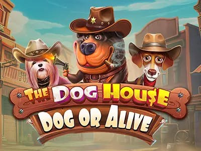 The Dog House - Dog or Alive